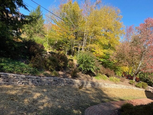 Backyard with a rock wall and trees