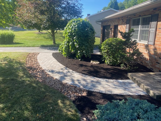 Front yard with bushes and a sidewalk