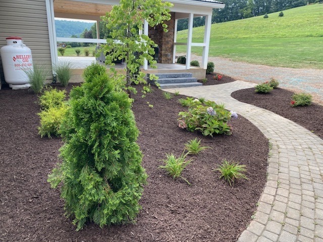 Bushes and flowers next to a hardscaped sidewalk